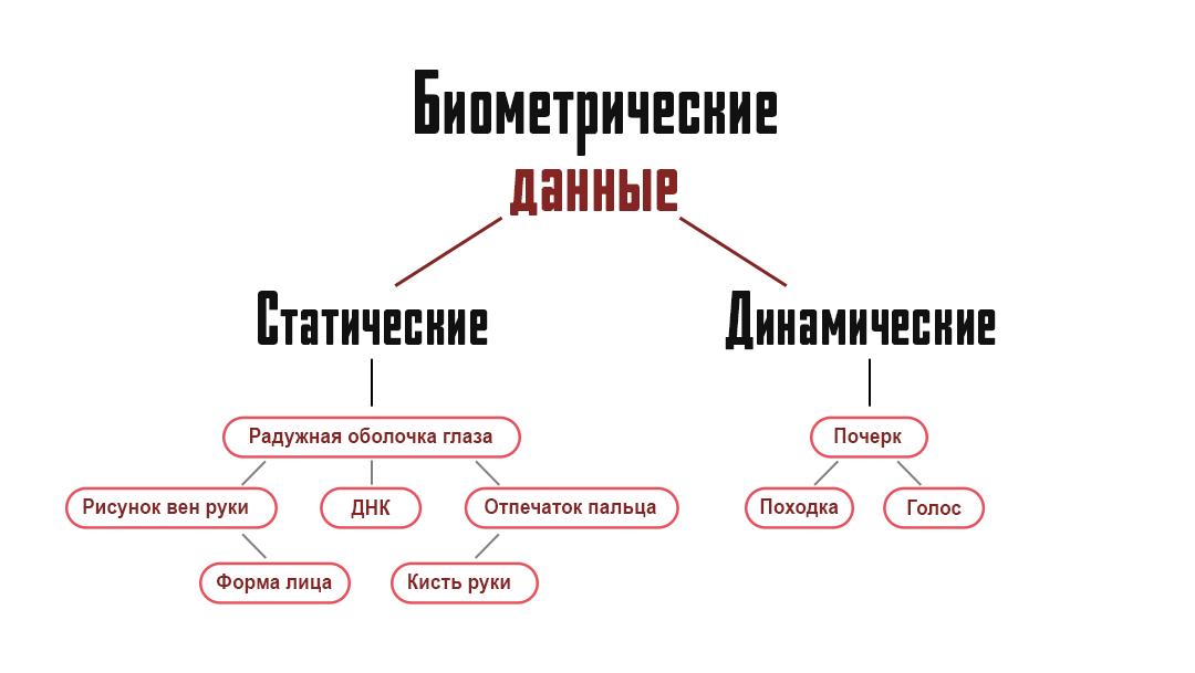 Является Ли Фотография Биометрическими Персональными Данными